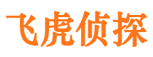 蒲县外遇调查取证